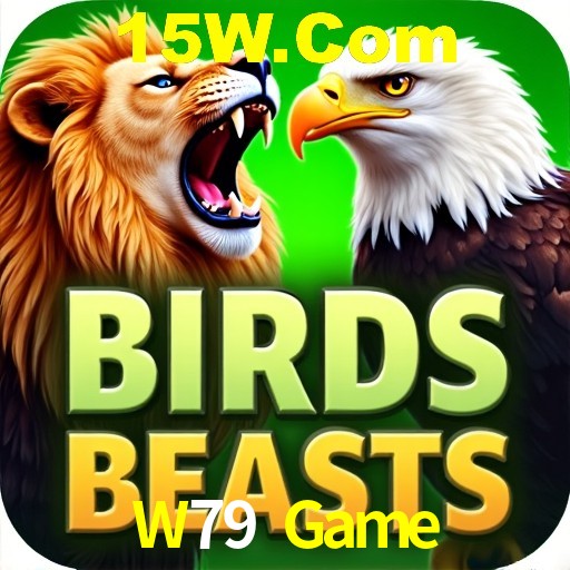 W79 Game Salvador - Strategies